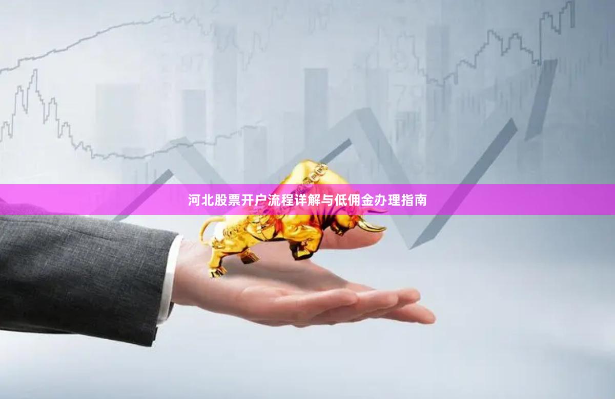 河北股票开户流程详解与低佣金办理指南